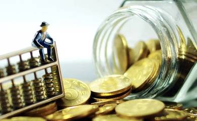 民營企業薪酬績效管理與資本管理發展的特點與互動關系