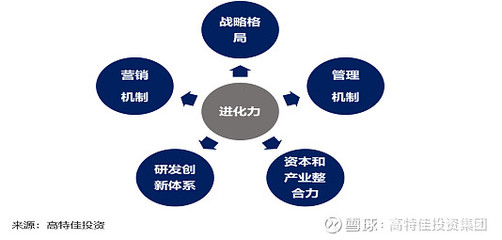 從百倍牛股反思 資本管理的藝術在于長期耐心