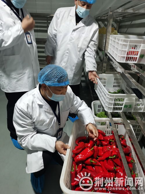 21種高風(fēng)險食品禁入中小學(xué)幼兒園 沙市區(qū)開展專項檢查